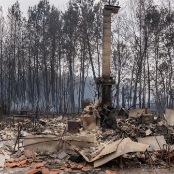 f76eb0c3-06e9-4eed-8fa6-9c90f6f56f4f Dévastation par Incendies à Arcachon : Témoignages et Conséquences