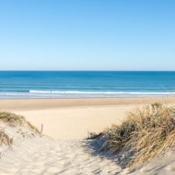 fb375c78-b985-47df-b4b3-cbc1ee0cefe3 Règles de collecte sur les plages françaises