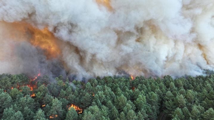 fd6e119f-7cc6-4d9c-927e-730b5aadbe79 Un incendie d’une ampleur exceptionnelle en forêt de Fontainebleau