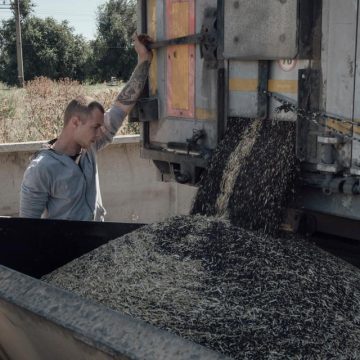 L&rsquo;Ukraine et le défi des exportations agricoles face au blocus russe