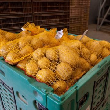LILLE Chips Mazingarbe Une crise imminente pour les producteurs de pommes de terre