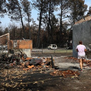 0be99e09-c91f-4ecc-b832-bb36f6a52f30 La France face aux incendies et à la canicule : état des lieux