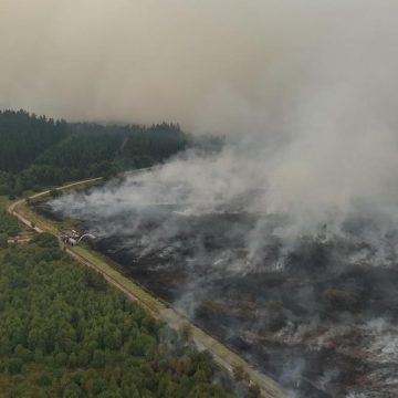 0e0daf35-ae75-491b-a143-f2afef3202bf Des incendies ravagent plusieurs régions en Belgique et en Grèce
