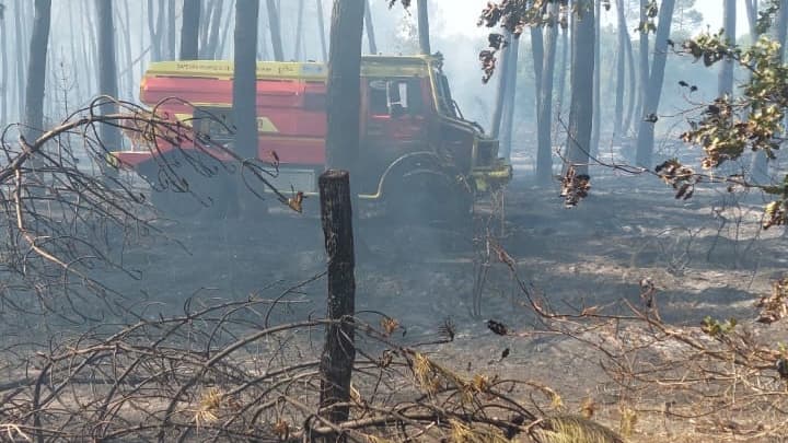 0f12185e-5bac-49f0-b2ea-cd90cb3b4a73 Incendies et efforts des pompiers en France cet été