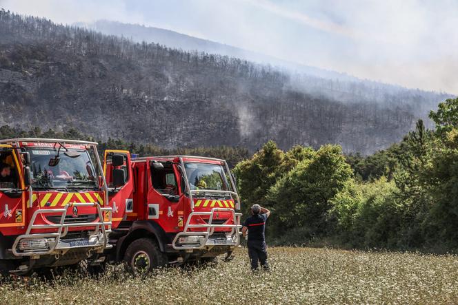 0f8a0bd4-5434-444c-89ad-5a115a2ba60f Incendies en France : État des lieux et impact