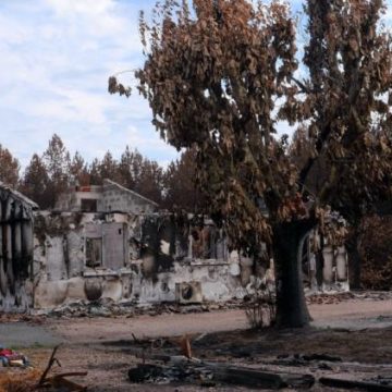 0ffa19c7-627d-4d4e-a6f2-34cfe20eb474 La facture des incendies de l’été 2026 en France