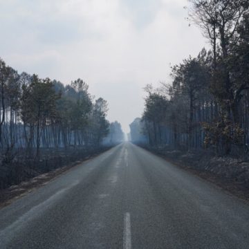 13e5e970-95b9-43f2-a529-15ef7b90bb6c Climat En Gironde : Le Temps des Questions Après le Feu