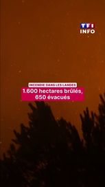 16c136b7-772c-4e4c-9e28-07e3f701cca5 Le retour des incendies et des escroqueries dans les Landes
