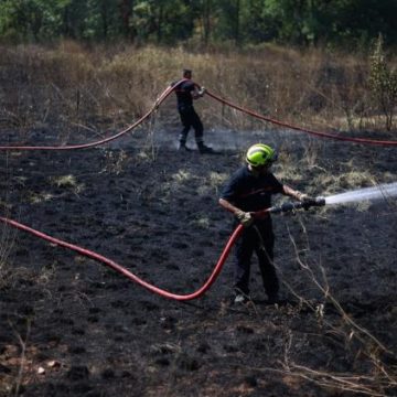 16eaaa61-b5ea-4efd-b02b-a1eddb40c90e Incendies en France : Les Efforts des Pompiers pour Contenir la Situation
