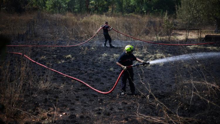 16eaaa61-b5ea-4efd-b02b-a1eddb40c90e Incendies en France : Les Efforts des Pompiers pour Contenir la Situation