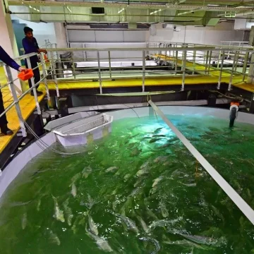 1a447f3c-7b89-4b07-8d0d-707cdd606e45 Projet d’élevage de saumons en circuit fermé au Verdon-sur-Mer : Un projet controversé