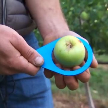 La Grande Distribution Vend des Fruits et Légumes Peu Esthétiques pour Aider les Agriculteurs