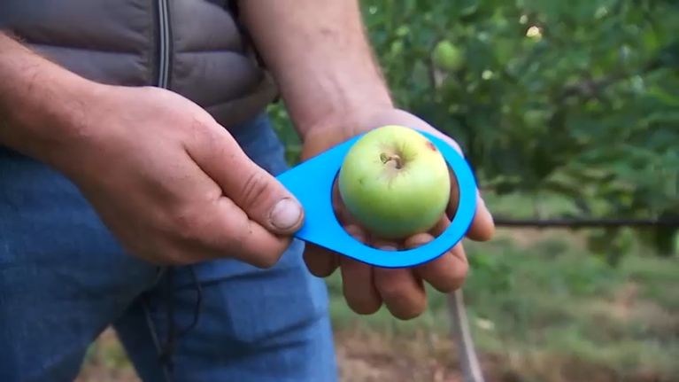 1a6ffe38-6fba-43b4-9c70-237674ffcf5d La Grande Distribution Vend des Fruits et Légumes Peu Esthétiques pour Aider les Agriculteurs