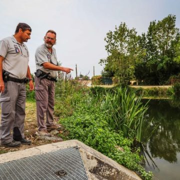 La Sécheresse 2026 et la Surveillance de l&rsquo;Eau dans le Marais Poitevin