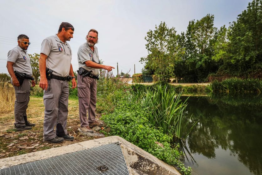 OFB La Sécheresse 2026 et la Surveillance de l’Eau dans le Marais Poitevin