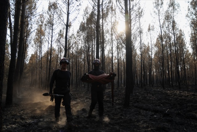 1c93773a-52c4-4c99-812b-9074158fa8e9 Incendies en Gironde et Var : État de la situation