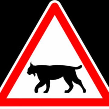 Installation de Panneaux de Signalisation pour Protéger le Lynx dans le Jura