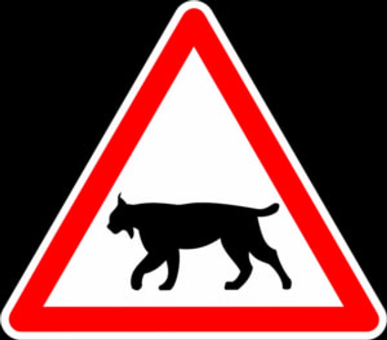 1e0f44ff-edf3-4ce6-9ef5-46f411e50e8f Installation de Panneaux de Signalisation pour Protéger le Lynx dans le Jura