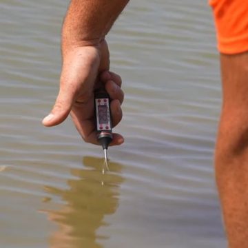 2065cca2-adc2-4620-a462-4487c7c6d187 L’impact des températures record de l’eau sur la faune aquatique en France