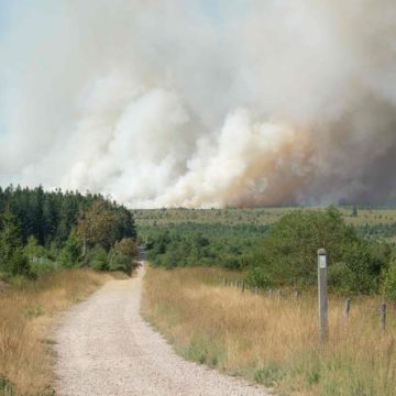 Un incendie dévastateur ravage un parc naturel en Belgique