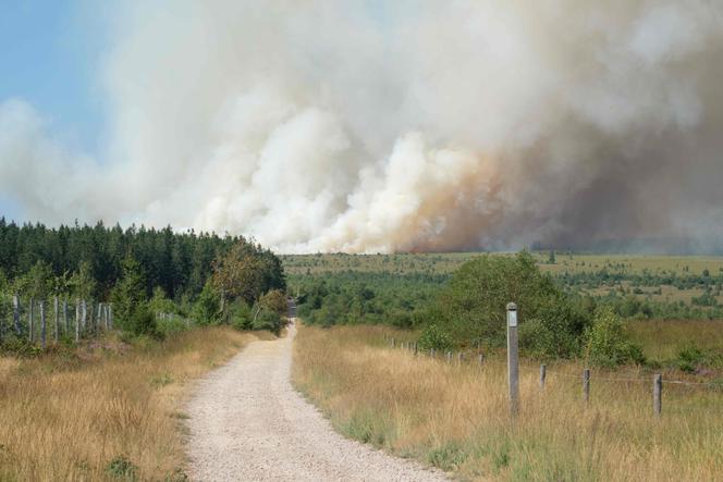 25709f86-84d5-4424-8b55-65c814c50d61 Un incendie dévastateur ravage un parc naturel en Belgique