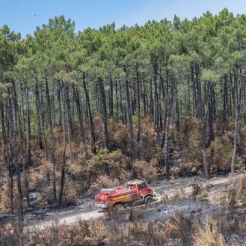 FRANCE - GIRONDE - ENVIRONNEMENT - WILDFIRE La Problématique des Incendies dans la Forêt des Landes