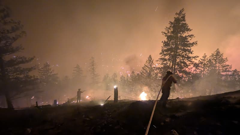 2a96276f-7055-4078-b366-58eb7cff5358 Incendie de forêt et décès tragique en Colombie-Britannique