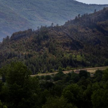 2b418e85-34a6-42d3-9e73-762d5d1842d6 Incendies en Drôme : une lutte acharnée contre le feu