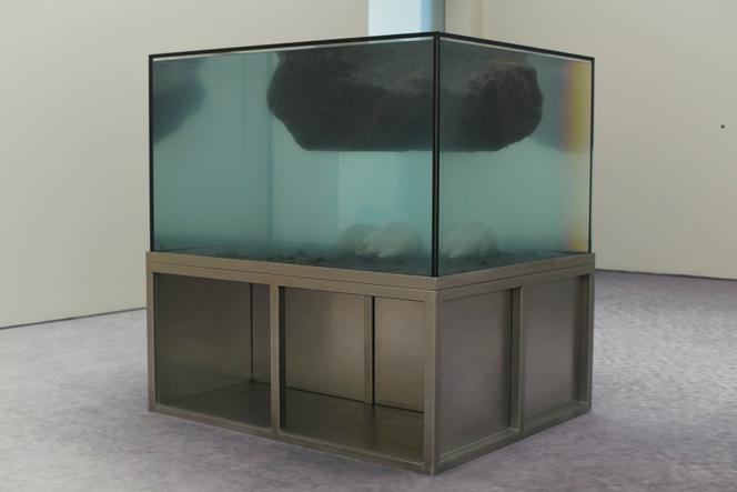 2e57ed59-1157-4d5f-a70f-b48c068c8d4d Entretien avec Pierre Huyghe sur son exposition à la Fondation Beyeler