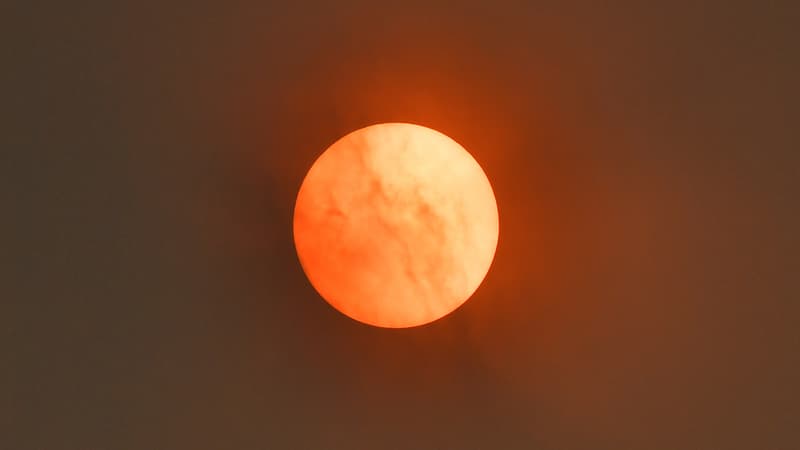 2f74239b-3203-46ca-86cd-2d8b5a547eeb Le Soleil et son nouveau cycle de 11 ans