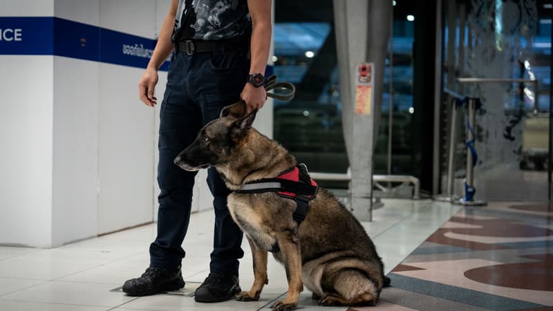 31ab8e05-1dab-420e-9e77-7019f351a1cf Arrestation de Français pour trafic de drogue en Thaïlande