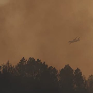 355d57cc-e2e8-49db-a0e0-7af55969a7f5 Incendies en France : la situation critique continue