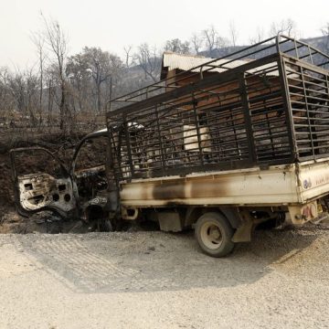 Fires In Jijel And Béjaïa In Algeria Incendies de forêt dévastateurs en Algérie : un défi pour les autorités