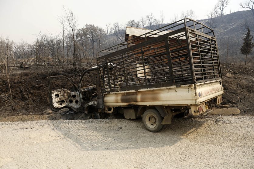 Fires In Jijel And Béjaïa In Algeria Incendies de forêt dévastateurs en Algérie : un défi pour les autorités