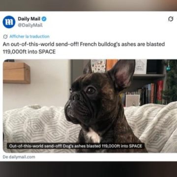 435eb3bc-c53c-43f2-8912-e3ca67bd4232 Les cendres d’Oscar dispersées dans la stratosphère par son maître en deuil
