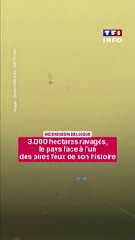 4543b82d-2b40-405a-a0a5-955d576abfca La Belgique lutte contre un incendie majeur