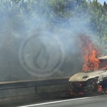 45792bd5-c0ae-43cb-8274-5606e9125606 Incendie maîtrisé dans l’Aude : intervention rapide des secours
