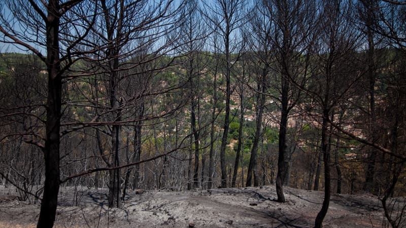 4eea0cc5-3bf5-4ecd-a2f6-0bafa6002803 Incendies Éteints dans le Var