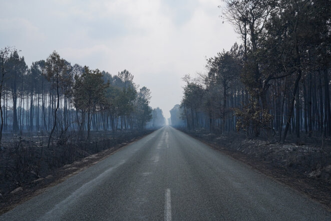 51644aef-aeda-41af-82fd-ca8932475333 Climat en Gironde: Les questions après l’incendie