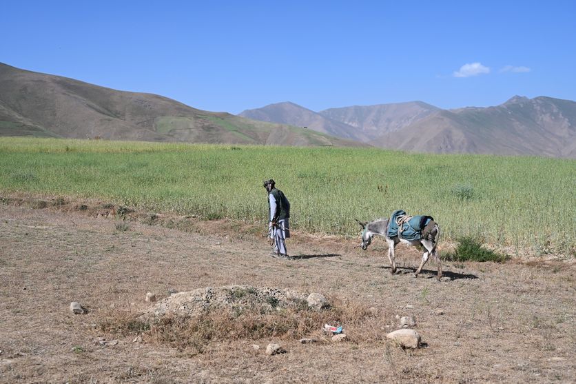 5ebcd52a-68b2-4e85-9de9-cb0632f4a393 Impact de l’exploitation minière au nord-est de l’Afghanistan