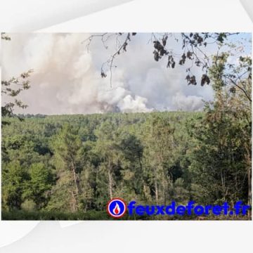 Incendie à Saint-Just en Ille-et-Vilaine : évacuations et lutte acharnée