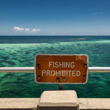 Un pêcheur secouru après une attaque de requin en Floride