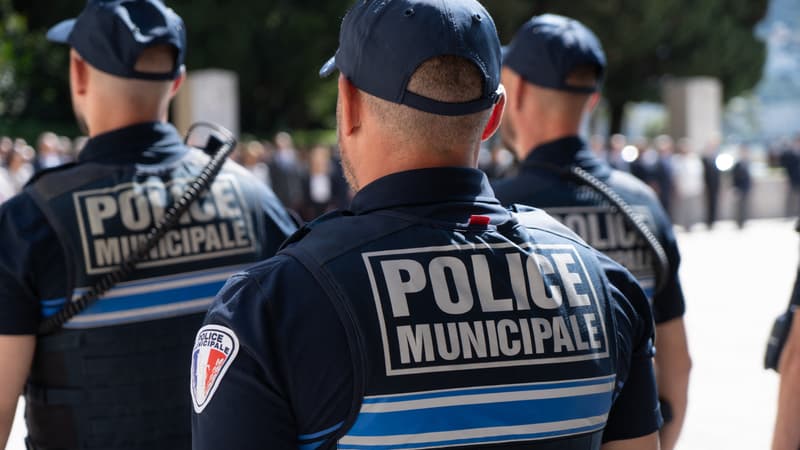 618c5054-805c-4ef1-9086-384590703fc9 Deux policiers municipaux agressés à Toulouse