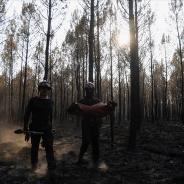 61cdf5ae-aad7-4ac2-8ab8-d842a73c17b6 Situation des incendies en France au début d’août 2026