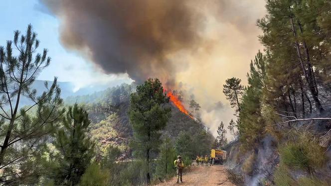 63aeca31-b91b-4c7c-a773-785bcc885723 Incendies en Espagne : Confinement et mobilisation massive pour lutter contre les feux près de Madrid