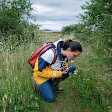 FRANCE - BRITTANY - MORBIHAN - BOEDE - COASTAL OBSERVER Quand les citoyens participent à la recherche scientifique