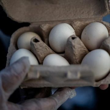 66dd49b1-4e2c-4071-a540-3602e4f6d936 Accord Judiciaire : 53 Millions d’Œufs Offerts aux Banques Alimentaires par Trois Géants de l’Oeuf