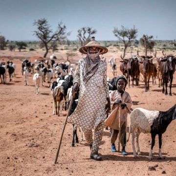 NIGER-AGRICULTURE-DROUGHT Début de la COP17 sur la Lutte Contre la Désertification à Oulan-Bator