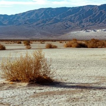 6b50c561-9d38-4187-acf1-dc0a9b9ee15c Un décès tragique en raison de la chaleur dans la vallée de la Mort