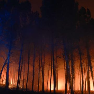 Incendie de forêt dans les Landes : État des lieux et actions